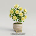 Lemon Glow Camellia Japonica Starter Plant – Evergreen Flowering Shrub with Unique Blooms, Shade Garden, Ornamental Landscape
