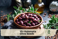 Kalamata Olive Tree Seeds – Fruit Tree Seeds for Growing Olea europaea in Outdoor Gardens & Containers