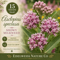Asclepias speciosa Seeds – Showy Pink Milkweed Native Wildflower Pollinator Garden Plant Non-GMO Heirloom