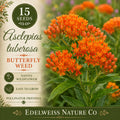 Asclepias tuberosa Butterfly Weed Seeds – Non-GMO Native Pollinator Wildflower for Garden, Landscape & Wildflower Planting