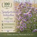 Symphyotrichum turbinellum Prairie Aster Seeds – Native Purple Wildflower, Heirloom, Non-GMO, Pollinator-Friendly Garden Plant