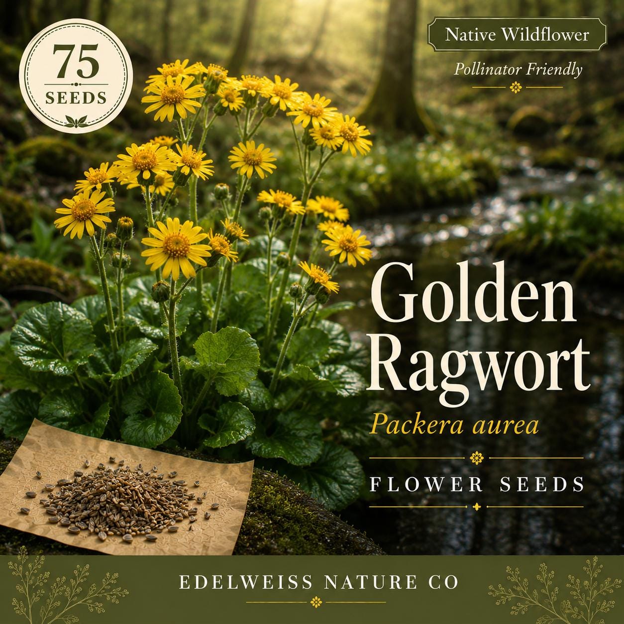 Golden Ragwort Seeds – 75 Packera aurea Native Wildflower for Shade Gardens, Pollinator Support, Erosion Control