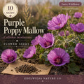 Callirhoe Involucrata Seeds – 10 Purple Poppy Mallow, Winecup Flower, Drought Tolerant Groundcover, Native Perennial, Pollinator-Friendly