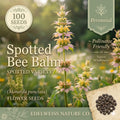 Monarda Punctata Seeds – 100 Spotted Bee Balm Native Wildflower for Pollinator Gardens, Drought Tolerant, Horsemint, Perennial