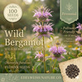 Wild Bergamot Seeds – 100 Native Bee Balm – Lavender Purple Pollinator Wildflower – Drought Tolerant Perennial Monarda Fistulosa