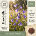 Campanula Rotundifolia Seeds – 100 Harebells Blue Bellflower Wildflower for Rock Gardens & Alpine Landscapes