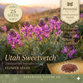 Hedysarum Boreale Seeds – 25 Utah Sweetvetch Native Pink Prairie Legume for Xeriscape, Mountain Gardens & Native Restoration