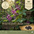 Wild Kidney Bean Seeds – 5 Phaseolus polystachios Native Climbing Vine Seeds for Woodland Gardens & Ecological Restoration