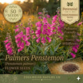 Palmer's Penstemon Seeds – 50 Native Wildflower Seeds for Pollinator Gardens, Drought Tolerance, Fragrant Pale Pink to Lavender Blooms
