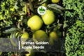 25+ Grimes Golden Apple Seeds - Heirloom Malus domestica for Home Orchards, Gardens & Edible Landscapes