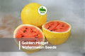 Golden Midget Watermelon Seeds – Heirloom Citrullus lanatus, Compact Vining, Golden Rind, Juicy Red Flesh, 50+ Seeds