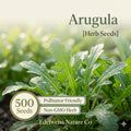 Arugula Seeds – 500 Heirloom Rocket Herb Garden Salad Green, Fast-Growing Leafy Green, Edible Herb, Organic, Microgreens