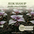 Jeok Ssam Ip Perilla Seeds – 500 Red Shiso Herb Seeds for Korean Cuisine, Edible Ornamental, Aromatic, Annual Plant
