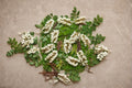 Black Locust Tree Seeds – Robinia pseudoacacia, Deciduous Flowering Tree, 50 Seeds for Landscaping & Garden