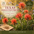 Texas Indian Paintbrush Seeds | Castilleja indivisa Native Wildflower for Pollinator Gardens & Hummingbird Attractant