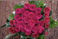 Pretty N Pink Rose Cuttings – Rosa hybrid, Pink Flowering Shrub for Propagation and Grafting, 3 Pack