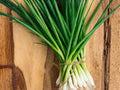 Evergreen White Nebuka Bunching Onion Seeds – Allium fistulosum, Non-Bulbing, Green Stalks, Perennial Vegetable, 50 Seeds