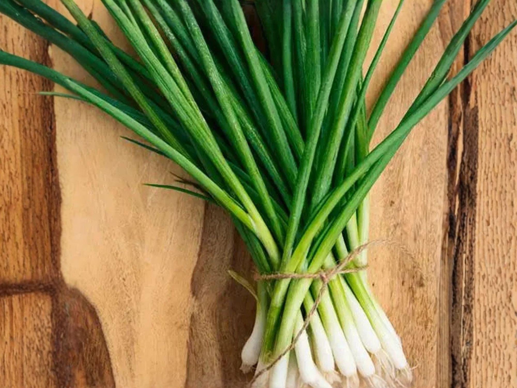 Evergreen White Nebuka Bunching Onion Seeds – Allium fistulosum, Non-Bulbing, Green Stalks, Perennial Vegetable, 50 Seeds