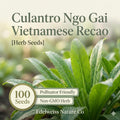 Culantro Seeds 100 Pack – Ngo Gai Vietnamese Herb, Caribbean Coriander, Aromatic Culinary Herb for Asian & Latin Dishes
