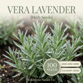 Vera Lavender Seeds – 100 English Herb Seeds for Aromatherapy, Garden, Dried Flowers – Lavandula angustifolia
