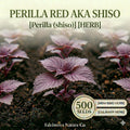 Red Aka Shiso Seeds – Heirloom Japanese Herb, Edible Ornamental, Perilla, Deep Red-Purple, Culinary & Garden Use