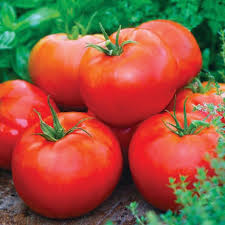 Ace 55 Tomato Seeds - Heirloom Low-Acid Red Solanum lycopersicum for Slicing & Cooking, Home Garden Planting