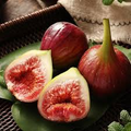 3x 'Monstrueuse' Fig Unrooted Cuttings 5-6" | Ficus carica Large Fig Variety for Home Garden and Propagation