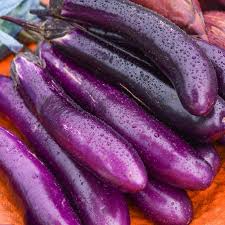 Eggplant Seeds Long Purple Non-GMO Heirloom Solanum melongena for Organic Gardening, Slim, Long, Easy to Grow