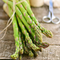 Green Jersey Knight Asparagus Bare Root Crowns - 2-Year-Old High-Yield Perennial Roots for Vegetable Gardens