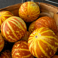 Tigger Melon Seeds - Heirloom Non-GMO Striped Melons for Garden, Vining, 90 Days to Maturity, Cucumis Melo