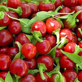 Large Hot Cherry Pepper Seeds 250mg, Capsicum annuum, Medium-Hot, Non-GMO for Pickling, Stuffing & Fresh Cooking