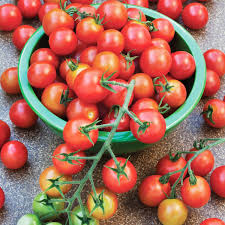 Red Cherry Tomato Seeds – Heirloom, Sweet & Juicy, High Yield, for Garden & Container Planting, Solanum lycopersicum