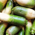 500+ Green Meat Radish Seeds Heirloom Daikon Variety Crisp White Flesh Cold-Hardy Vegetables