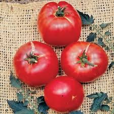 German Johnson Tomato Seeds - Non-GMO Heirloom, Pink, Crack-Resistant, Indeterminate, Vegetable Seeds for Home Garden