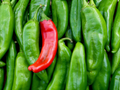 Sonora Mild Hot Pepper Seeds 250mg, Capsicum annuum, Heirloom, Mild Heat, Gardening & Cooking