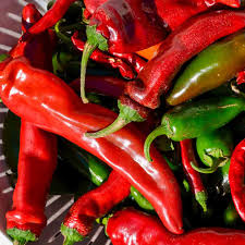 New Mexico Sandia Pepper Seeds – Heirloom Capsicum annuum for Roasting & Drying, Mild to Medium Heat, Non-GMO, 25 Seeds