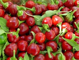 Sweet Red Cherry Pepper Seeds – Heirloom, Non-GMO, Mild, High Yield, Compact, Capsicum annuum