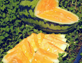 Orangeglo Watermelon Seeds - Heirloom Non-GMO, Sweet Orange Flesh, Large 20-30 lb Melons, Citrullus lanatus, Warm Season Crop