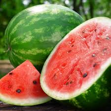 Watermelon Crimson Sweet Seeds – Citrullus lanatus Heirloom Juicy Sweet Fruit for Home Garden Planting