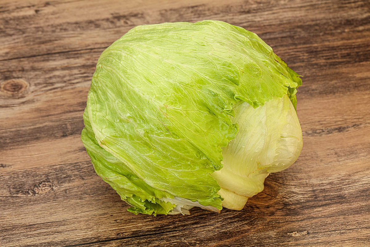 1000 Iceberg Lettuce Seeds – Lactuca sativa, Crisp, Refreshing, High-Yield, Non-GMO for Salads & Sandwiches