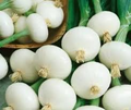 Crystal White Wax Onion Seeds, Allium cepa, Pearl Onion Variety, Mild & Sweet Flavor, Gourmet Cooking, 200 Seeds
