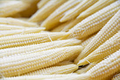 Popcorn Seeds 5g Japanese Hulless White Zea mays Dual-Purpose Gourmet Popcorn & Baby Corn