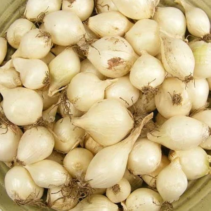 White Onion Sets – Non-GMO, White Ebenezer, Vegetable Bulbs, Easy to Grow, Storage-Friendly, 8 oz. (40-60 Bulbs)