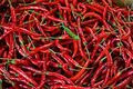 30 Seeds Cayenne Long Thin Pepper Seeds, Capsicum Annuum, Spicy Chili for Cooking and Drying