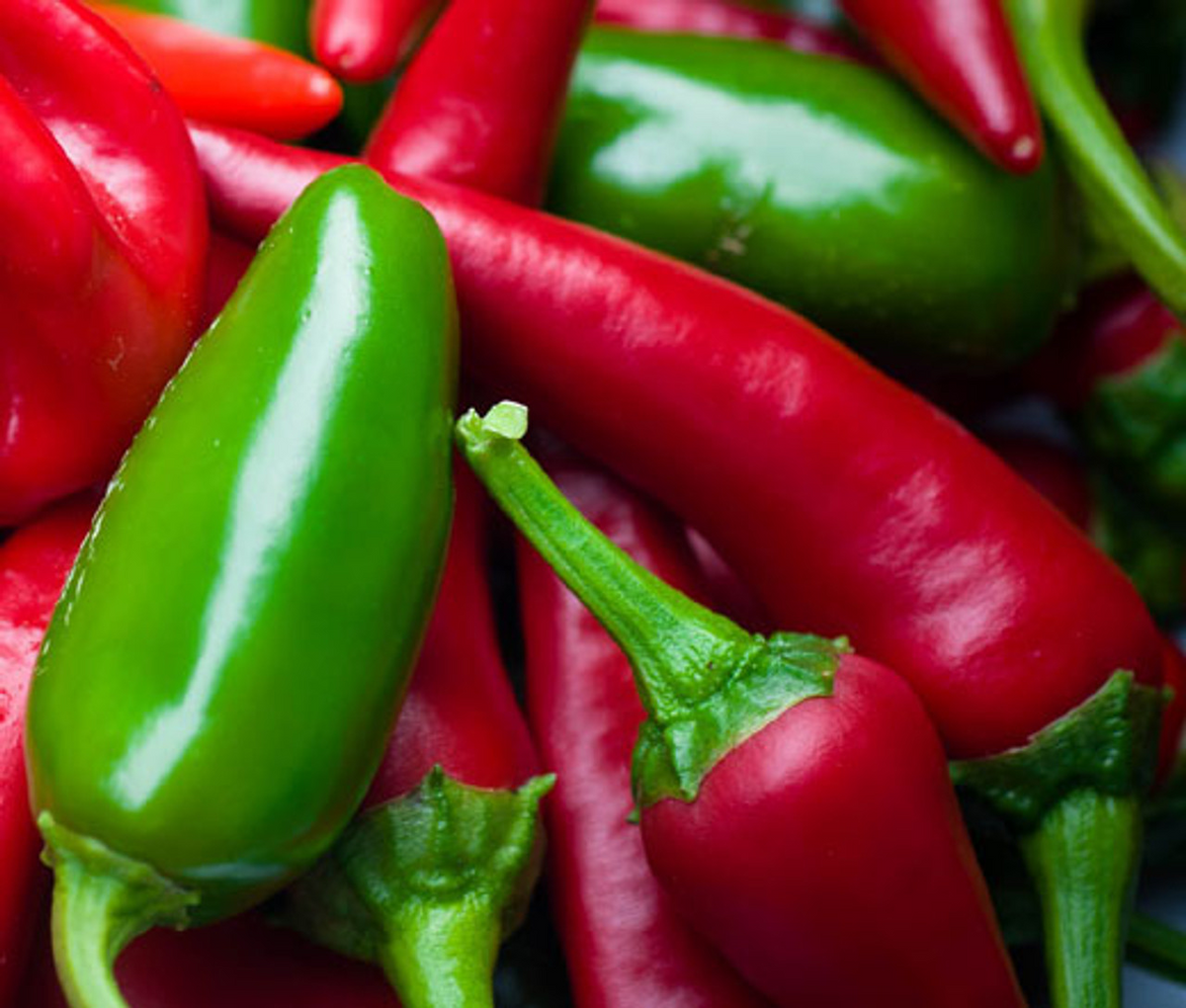 Jalapeno Early Hot Pepper Seeds – Capsicum annuum, Heirloom, Medium-Sized Peppers for Salsas & Pickling, 30 Seeds