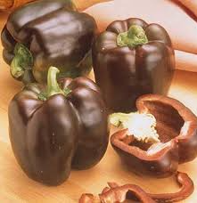 Chocolate Beauty Pepper Seeds – Capsicum annuum, Sweet Bell, Rich Chocolate Color, Non-GMO, Heirloom, Crisp & Juicy