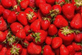 Jewel Strawberry Bare Root Plants – Fragaria × ananassa, High-Yield, Sweet & Juicy Berries, Cold-Hardy, Disease-Resistant