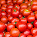 Early Girl Tomato Seeds, F1 Hybrid, Sweet Juicy Red Tomatoes, Fast-Maturing, 10 Seeds, Vegetable Garden, Container Gardening