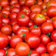 Early Girl Tomato Seeds, F1 Hybrid, Sweet Juicy Red Tomatoes, Fast-Maturing, 10 Seeds, Vegetable Garden, Container Gardening