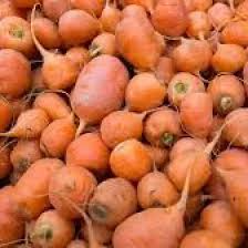 Oxheart Carrot Seeds – Heirloom Short & Thick Variety for Container & Garden, Sweet Orange Flesh, 1000+ Seeds